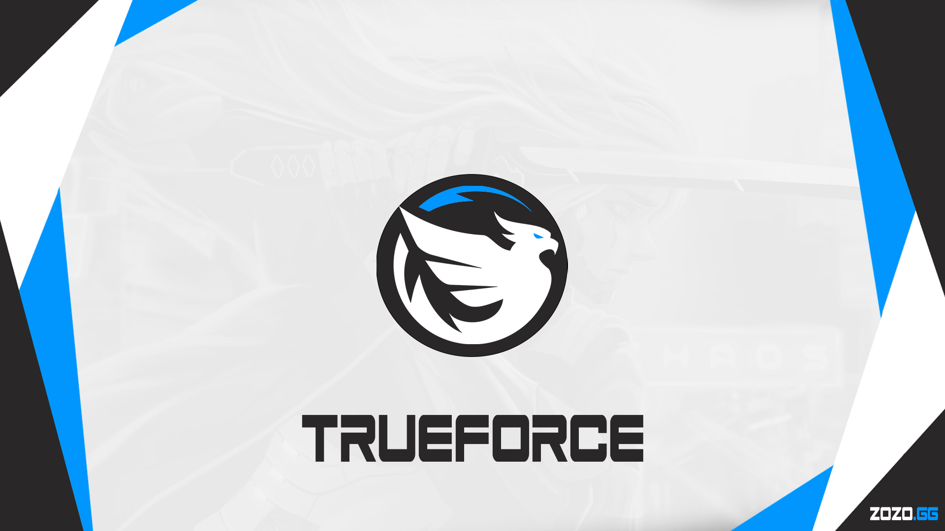 TrueForce