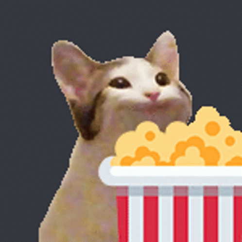 cat-jam-popcorn.gif