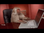 life-is-but-a-gif-ph-d-life.gif