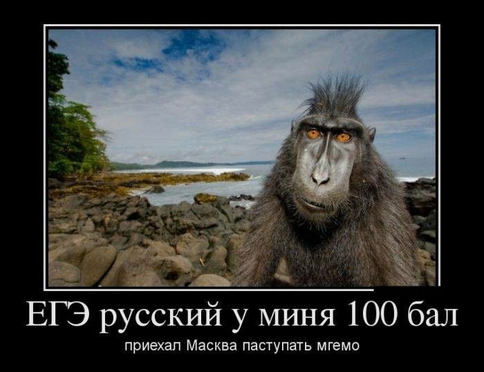 igemaskva100balav.jpg