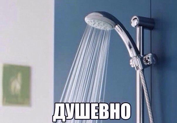 d99314044a6c25c7b5dab0393deed04d.jpg