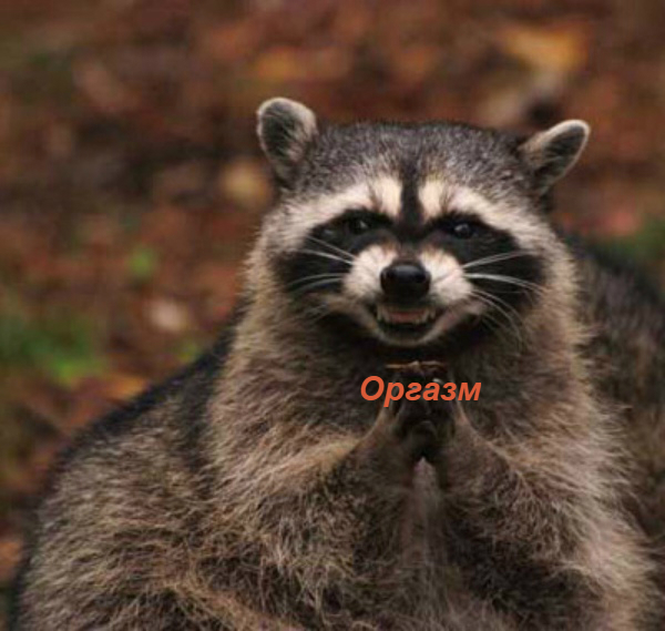 smile.jpg