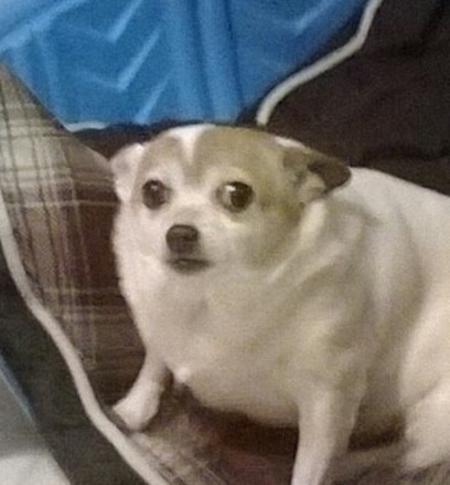 Gm9FACwJi1U.jpg