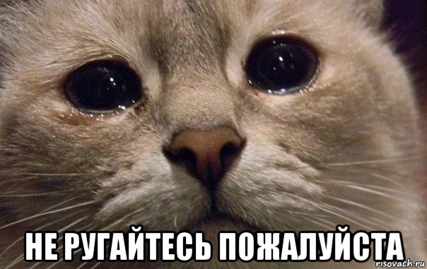 v-mire-grustit-odin-kotik_108705378_orig_.jpg