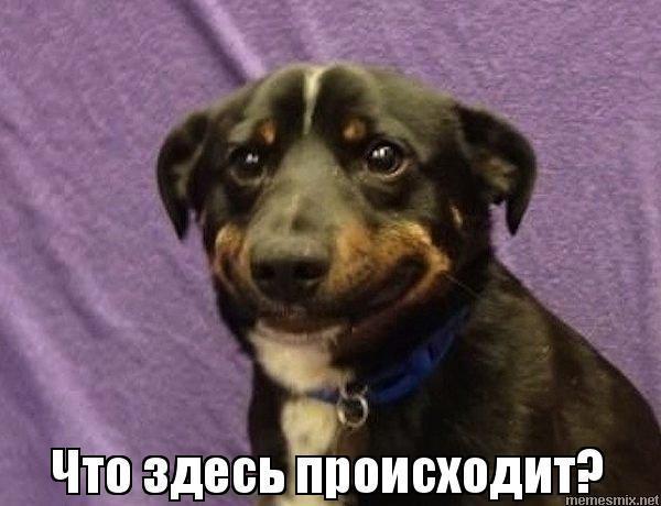 chto proishodit.jpg