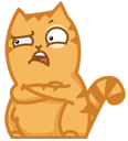 B3F8EB73-27AD-41FE-B53D-7005072AC598.png