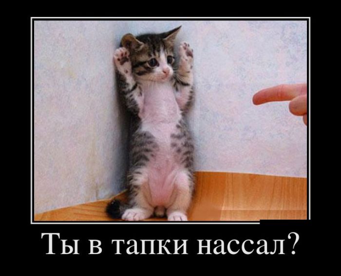 f7caeaf234cd098828f30b8877513eec.jpg