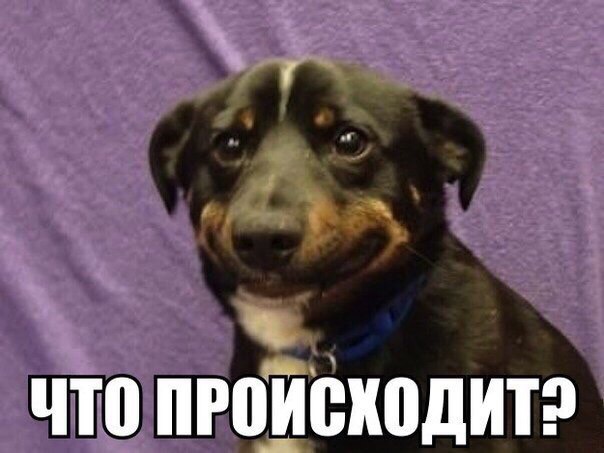 44FD2148-53F7-4119-9FE2-EA8A3525152D.jpeg