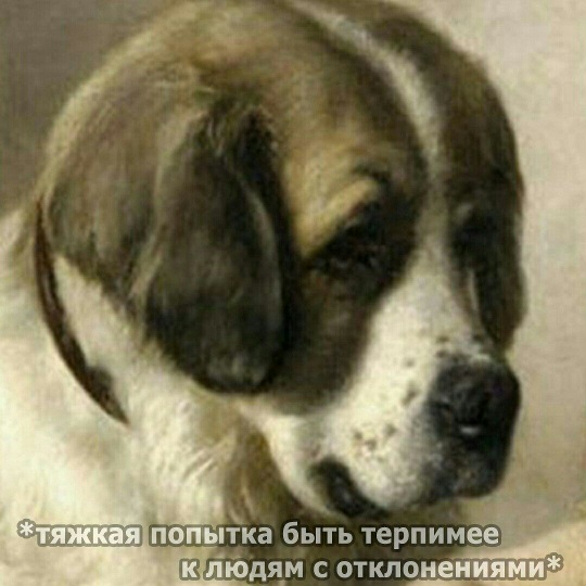 Тяжкая попытка быть терпимее.jpg