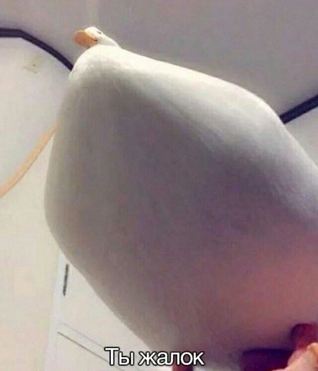 Ты жалок.jpg