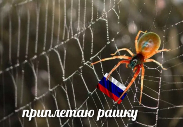 OVIdC_7SCj0.jpg