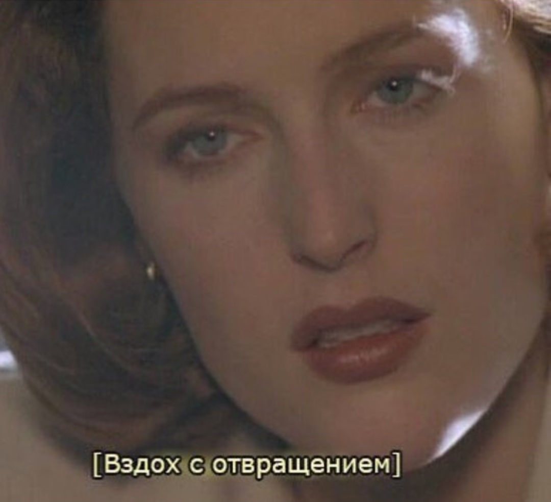 vQe9TTpDMKQ.jpg