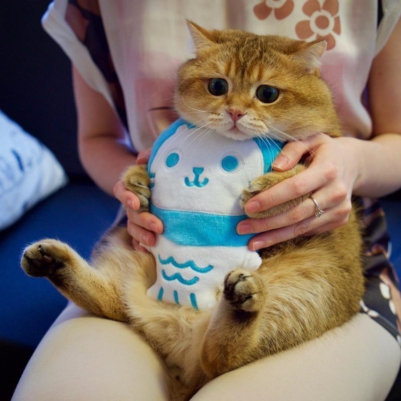 6368