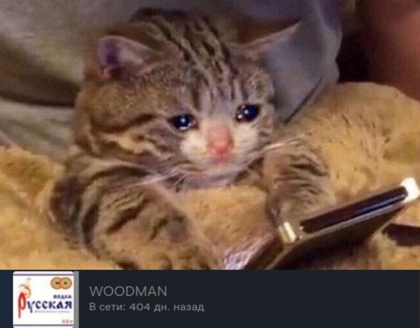 6695
