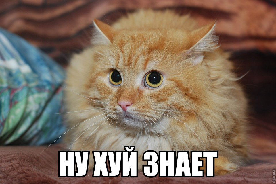 ну.jpg
