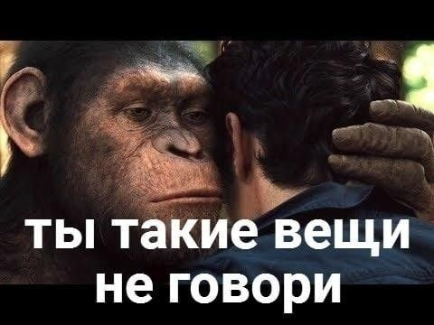 1615409916416.png