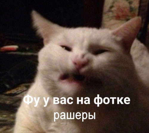 Фу у вас на фотке решеры.jpg