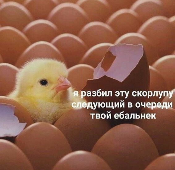 88bb2f53f61f2ea7bb1d4d842148170a.jpg
