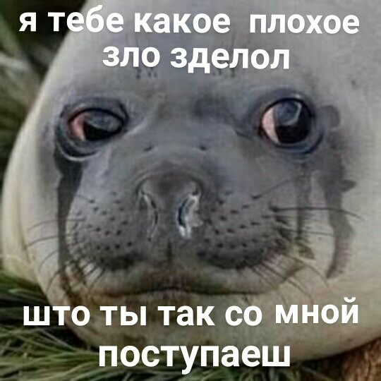 Я тебе какое плохое зло зделол что ты так со мной поступаеш