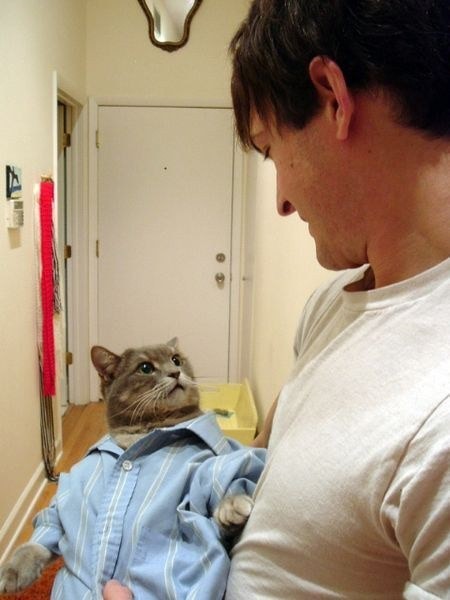Котик 'Чё за хуйня'.jpg