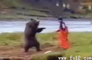 64310.d778158d.50x50o.4dc9f2854460.gif