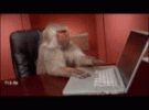 life-is-but-a-gif-ph-d-life.gif